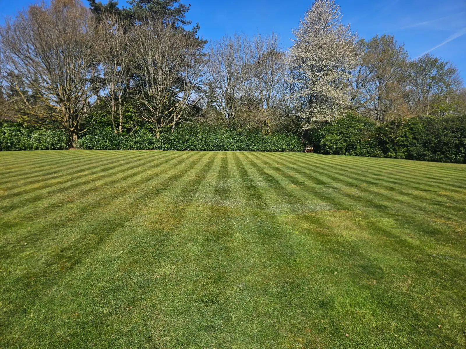 Large open lawn freshly mown with a striped finish